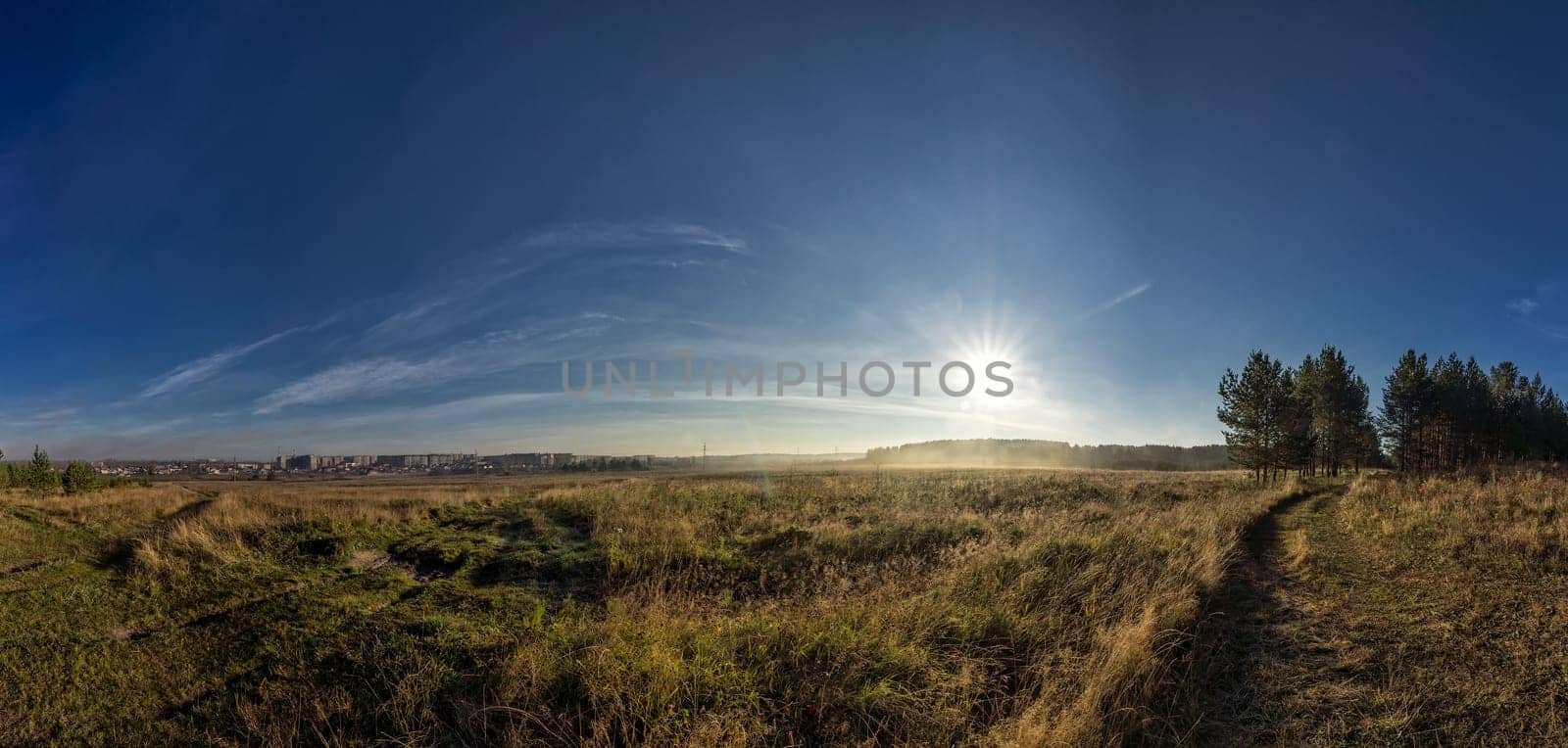 Nature landscape is forest and grass. Beautiful landscape.
