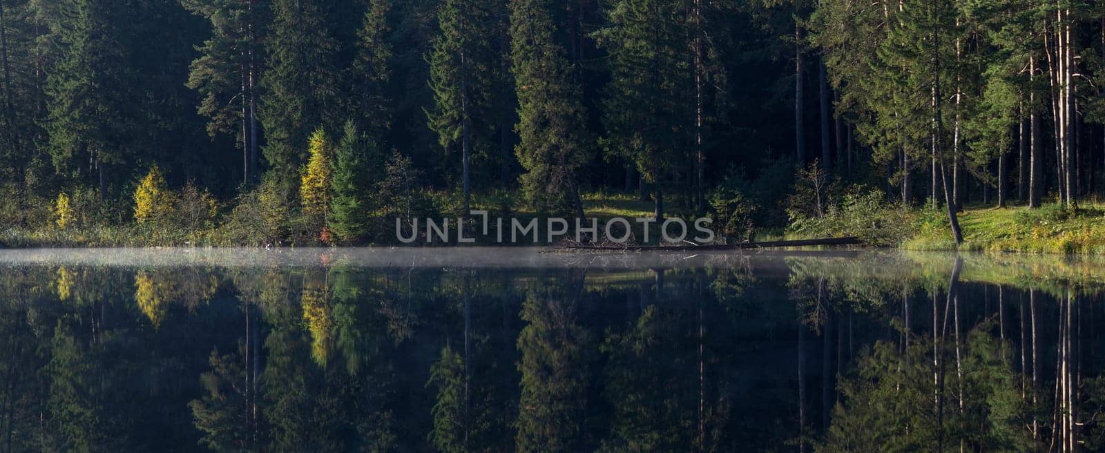 Lakes in the autumn forest. Forest autumn landscape, beautiful nature.