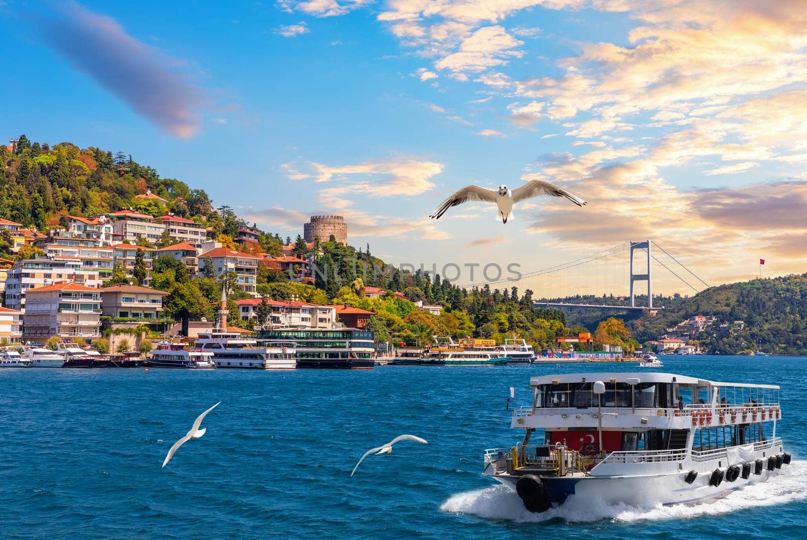 Ship is sailing in the the Bosphorus Straight by Bebek neighborhood, Istanbul, Turkey.