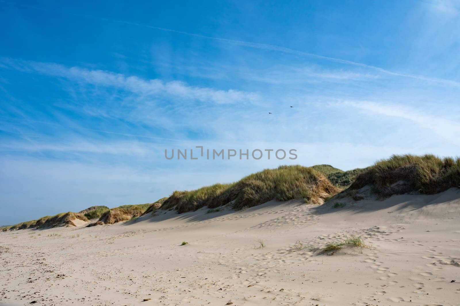 Sandy beach and dunes on the North Sea coast in the Netherlands
