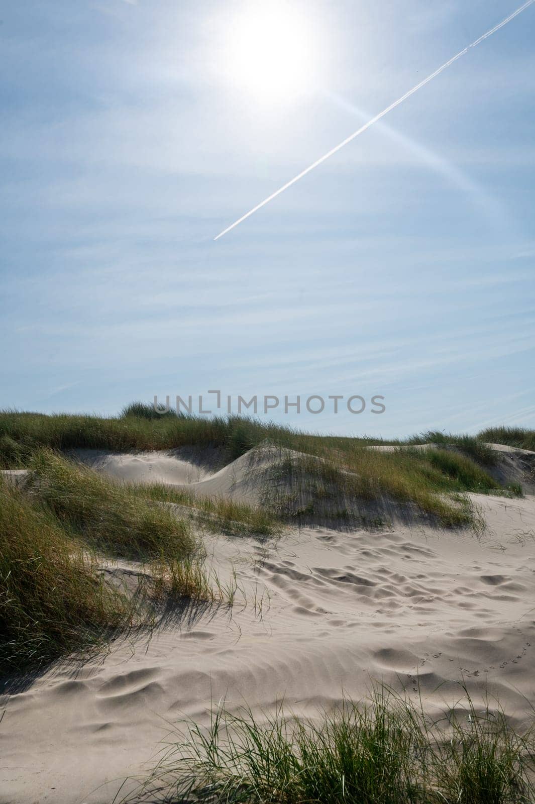 Dunes landscape  with beach grass, contrail  and sun on the North Sea coast in the Netherlands