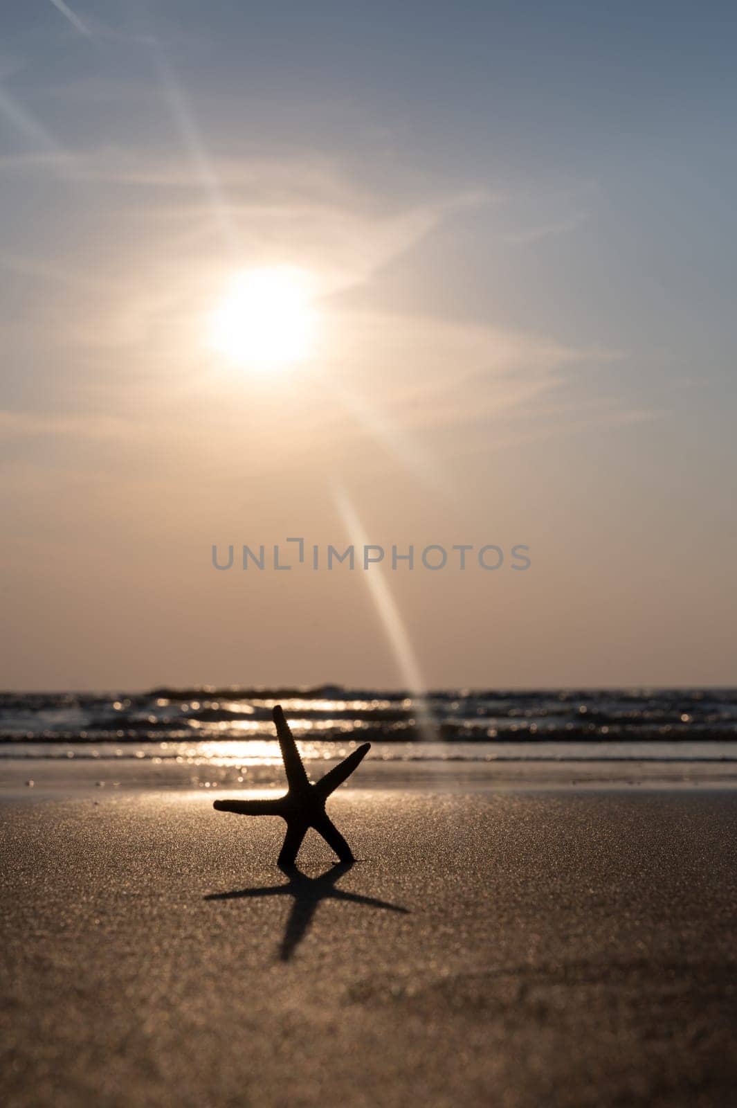 A starfish in the sand on a beach in front of the ocean waves at sunset
