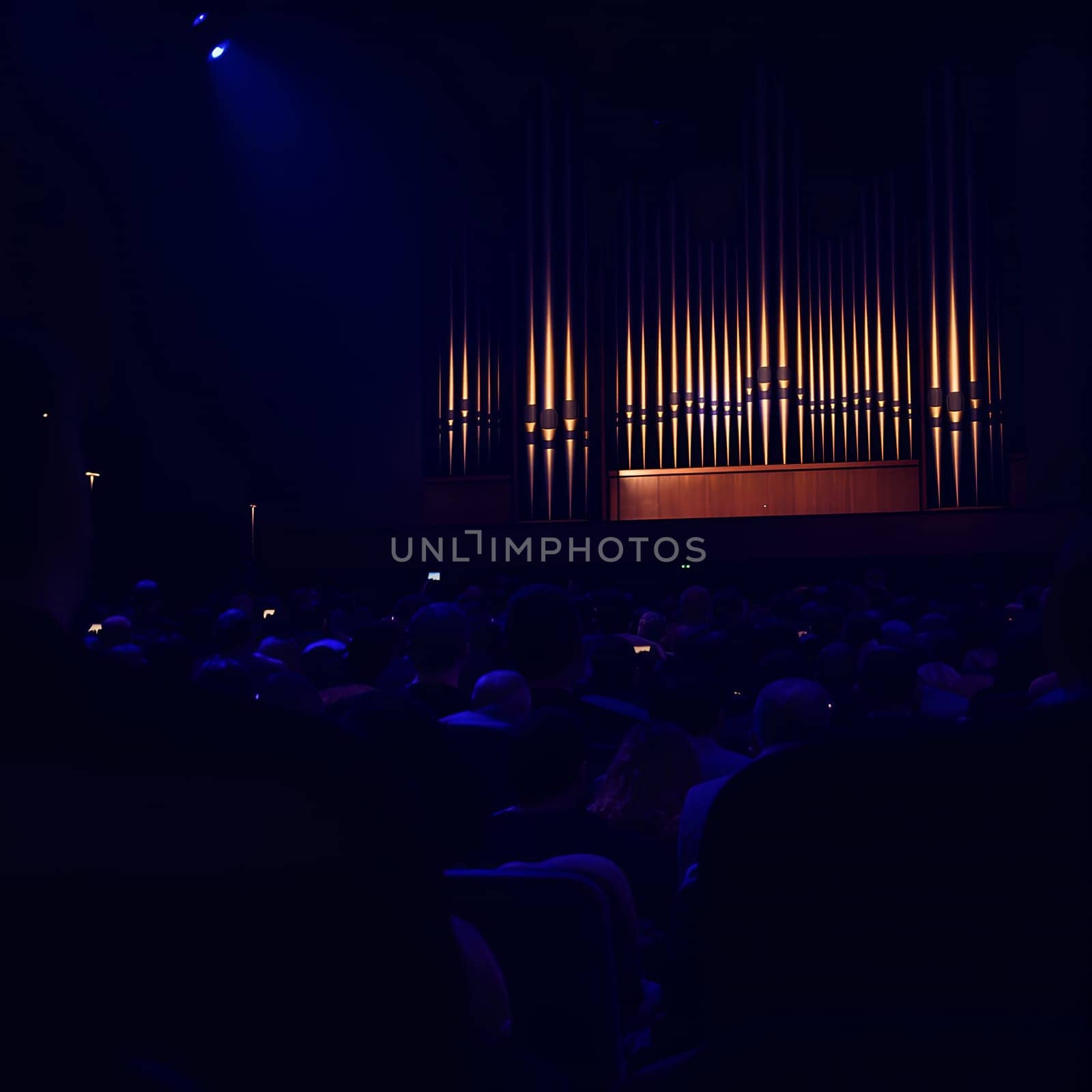 A large illuminated pipe organ in a dark concert hall with a seated audience, creating a dramatic and atmospheric scene.