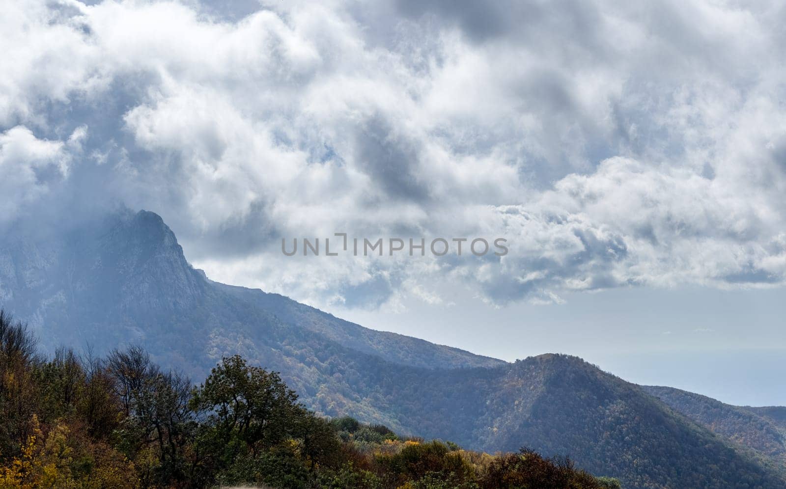 Mountains and forests of Crimea. coniferous and deciduous trees on the hills of the mountains and rocks
