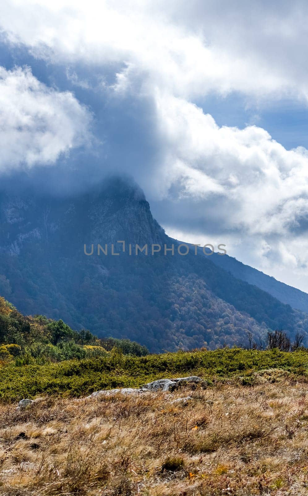 Mountains and forests of Crimea. coniferous and deciduous trees on the hills of the mountains and rocks