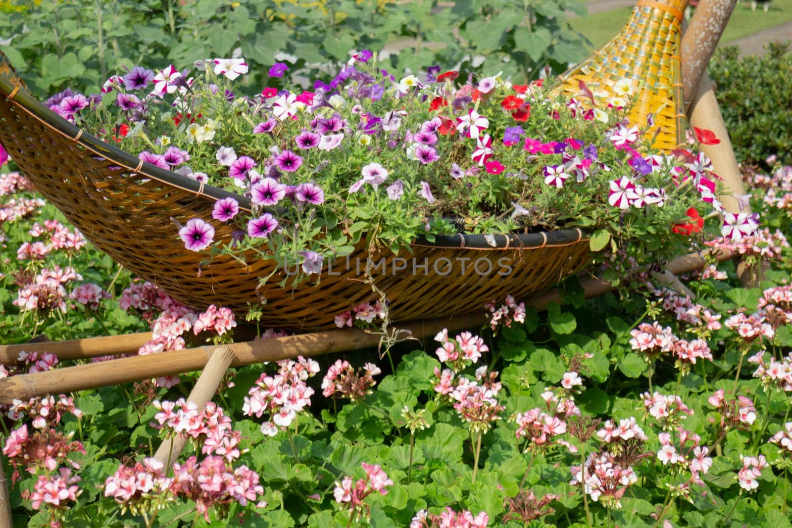 Thai agricultural produce to be exhibited at the fair, stock photo