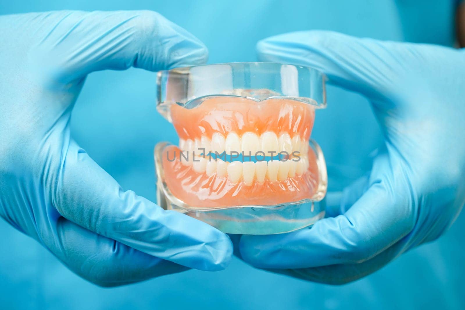 Asian dentist holding dental teeth model for learn about dentistry.