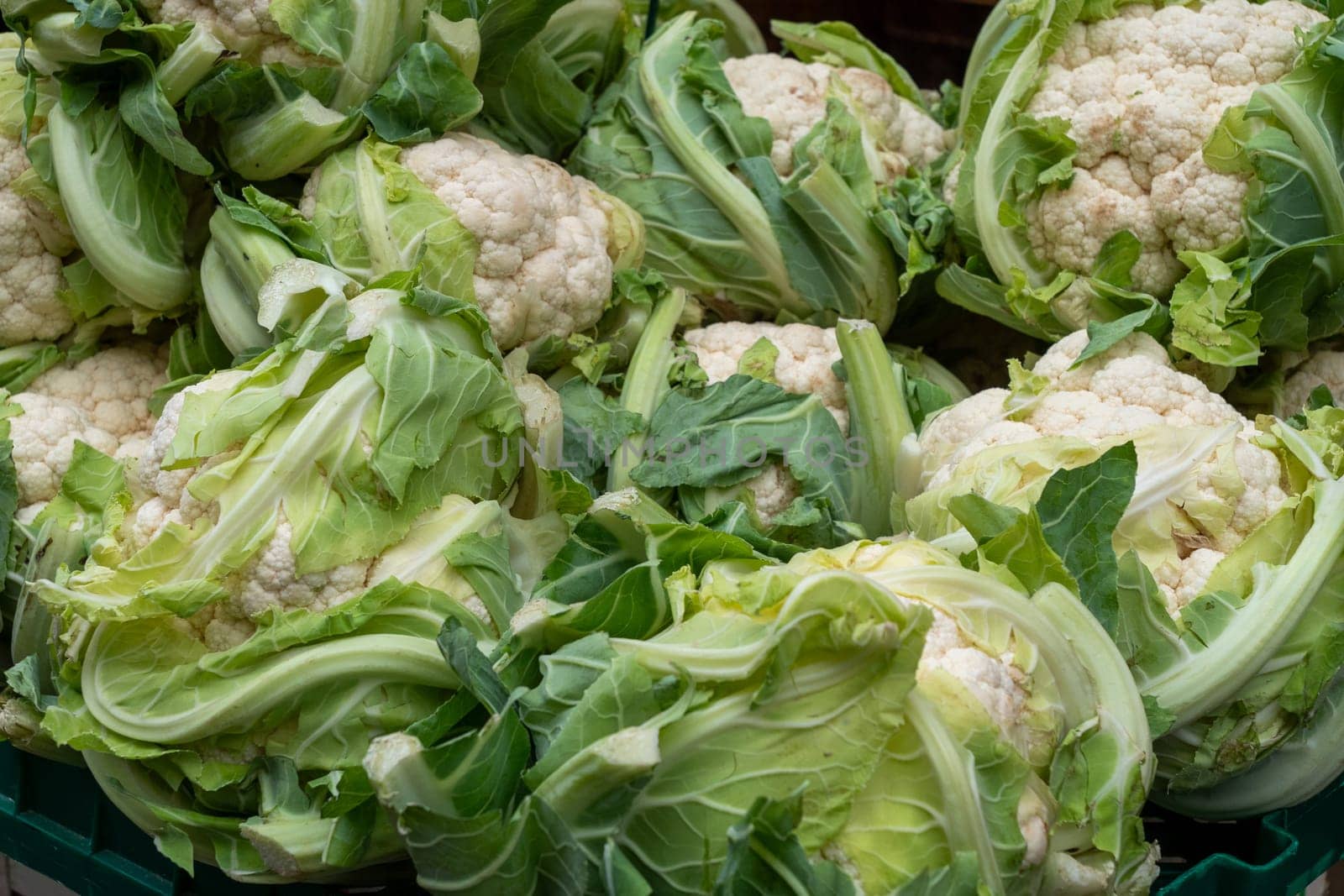 A pile of green cauliflower. The cauliflower is fresh and ready to be eaten
