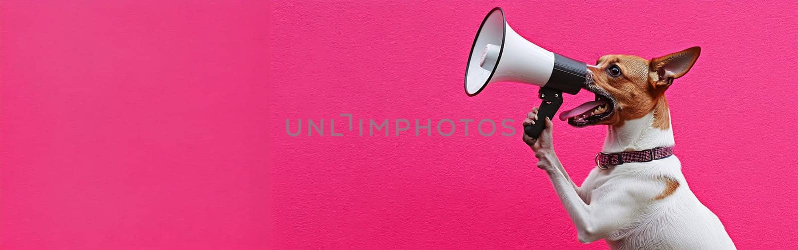 A dog humorously holds a megaphone against a bright pink background, capturing an amusing moment of playful expression.