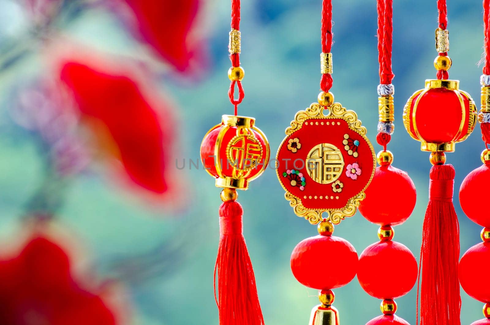 View of beautiful Chinese New Year decoration.