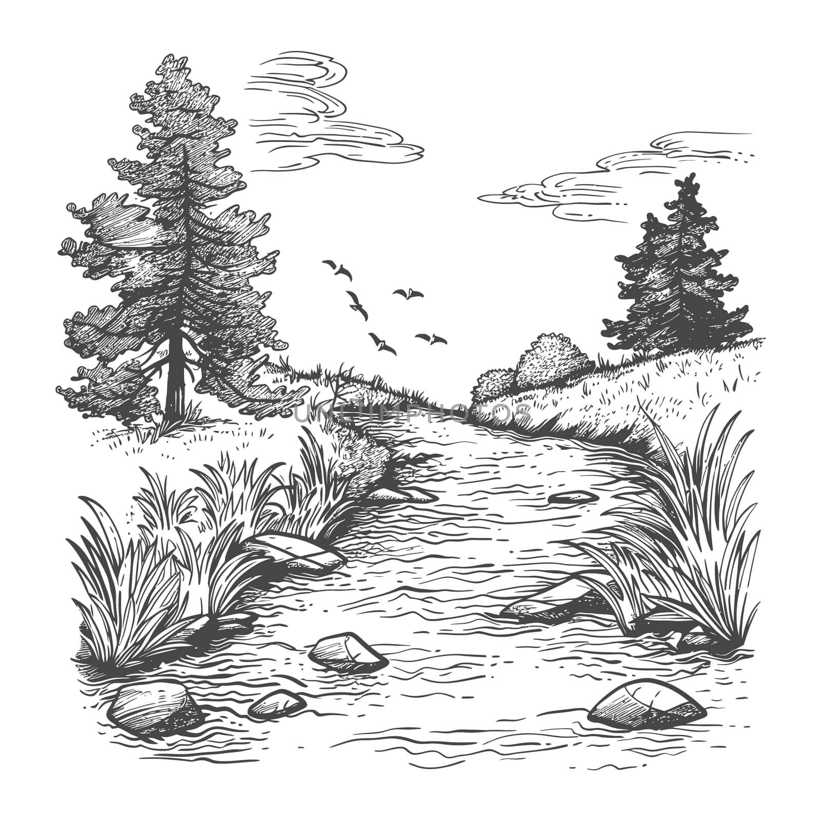 A Hand-Drawn Illustration of a Stream Flowing Through a Forest