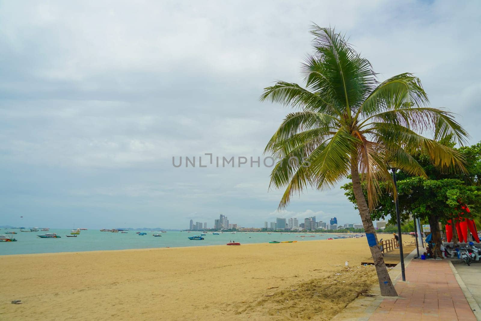 sandy beach and palm tree. Shooting Location: Thailand, Pattaya