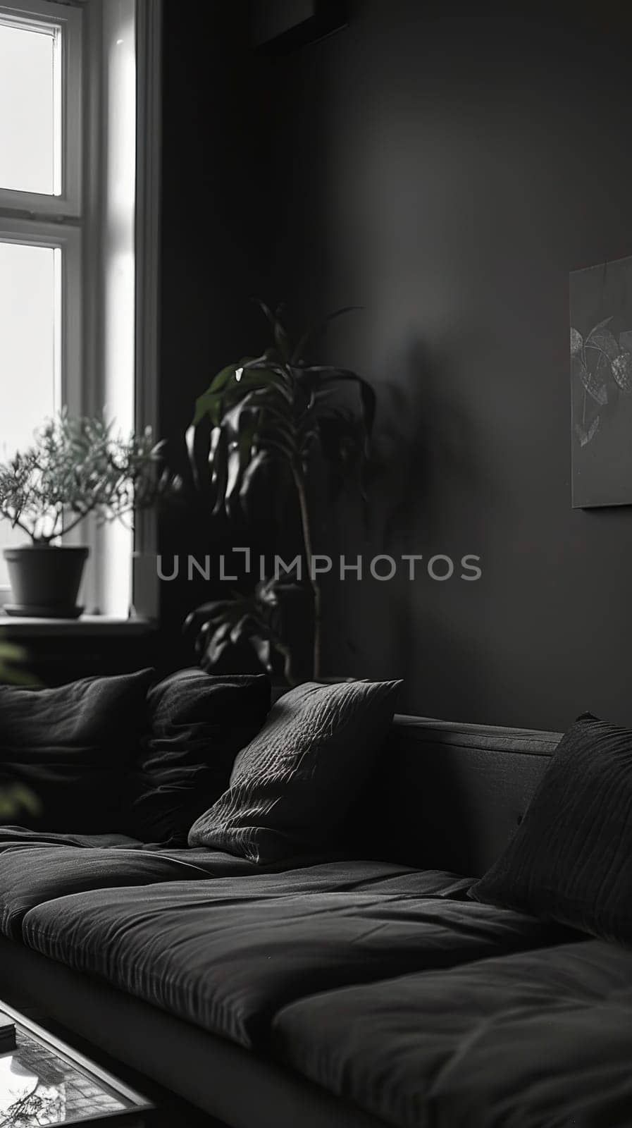 A monochrome lounge space exudes calm with plush black sofas and potted plants by a bright window. The interplay of light and shadow adds drama to the serene setting