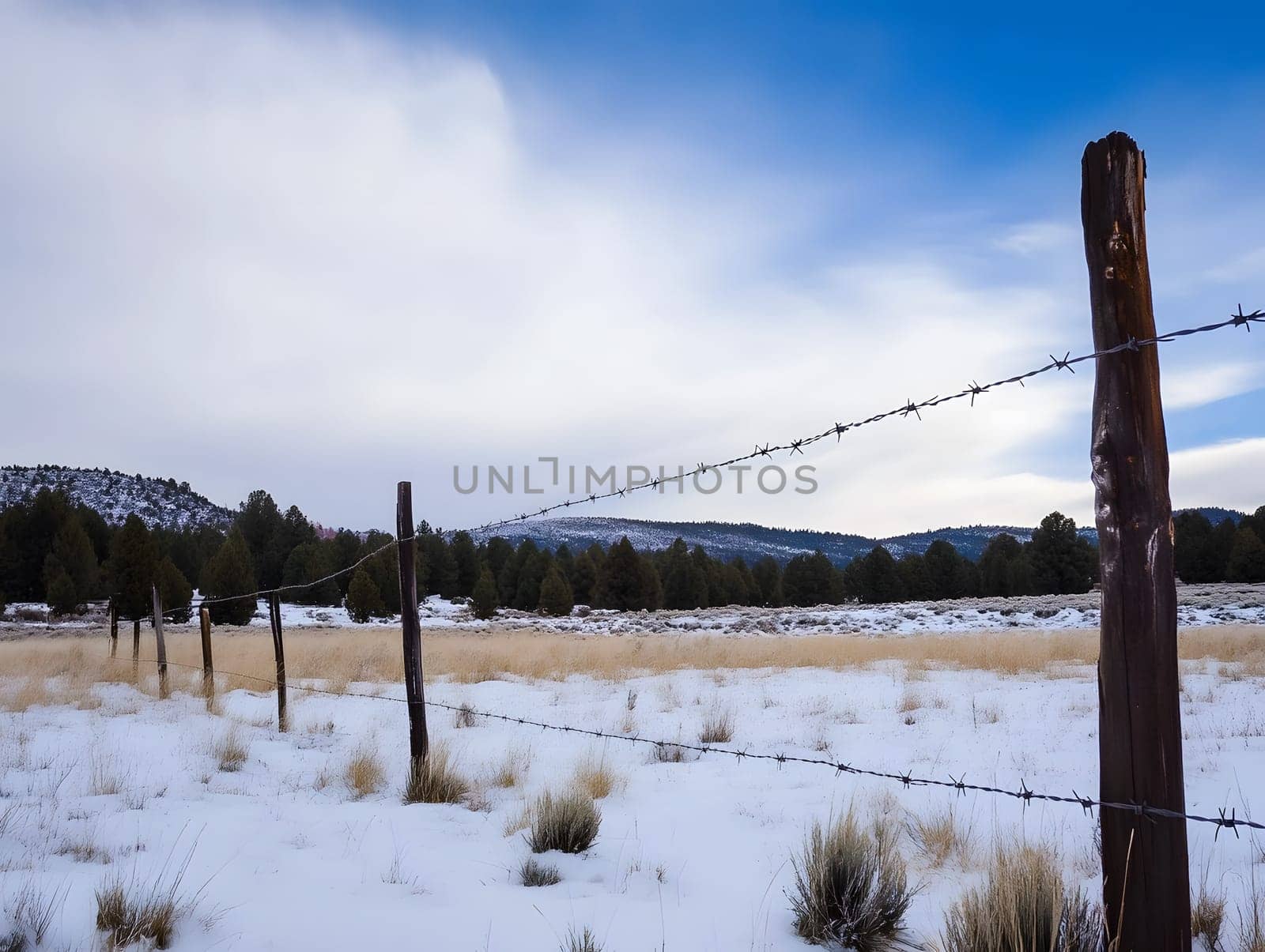 Barbed wire fence for security and protection boundary