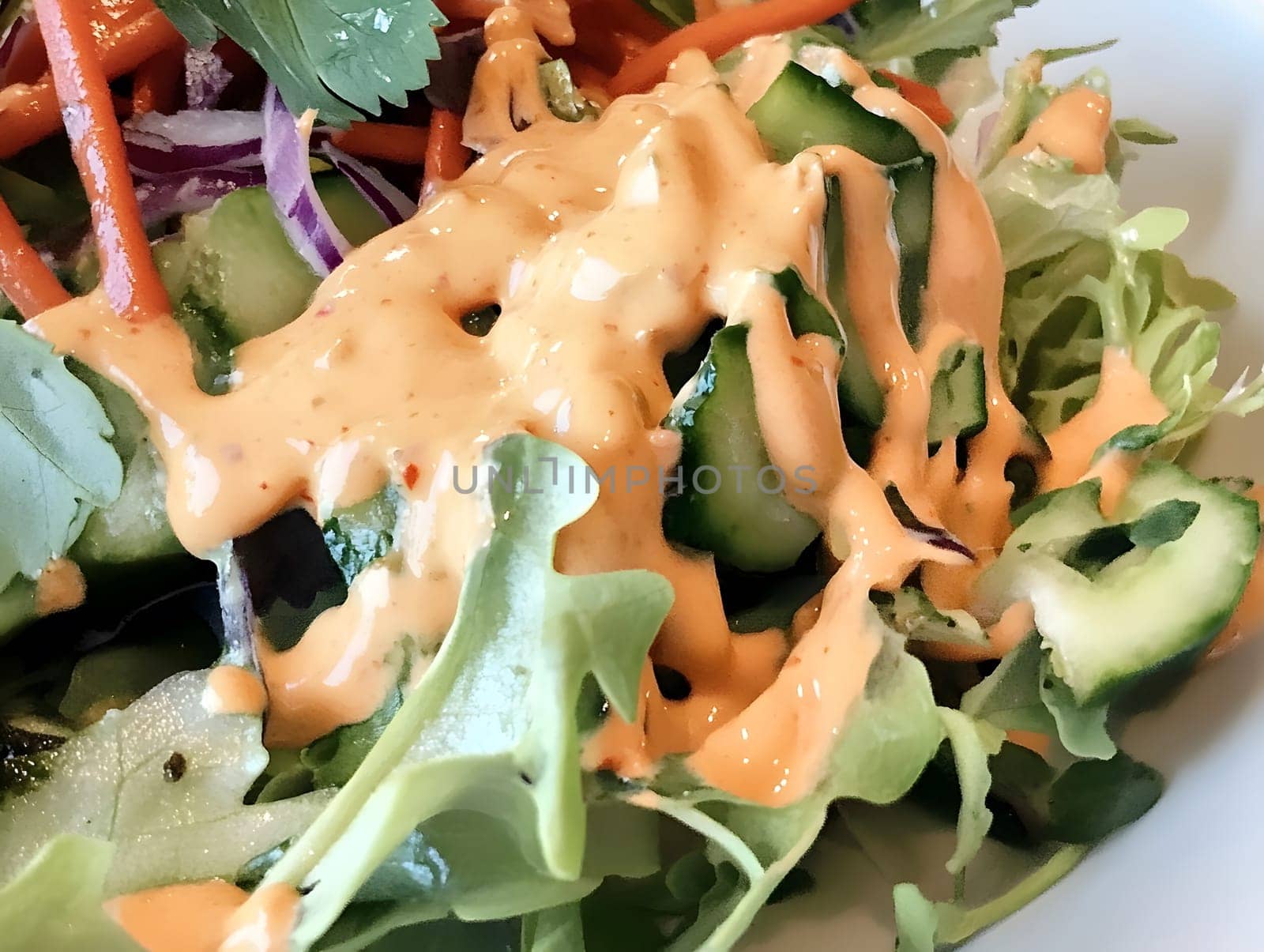 Tasty Mixed Salad vegetables with American Dressing meal dish