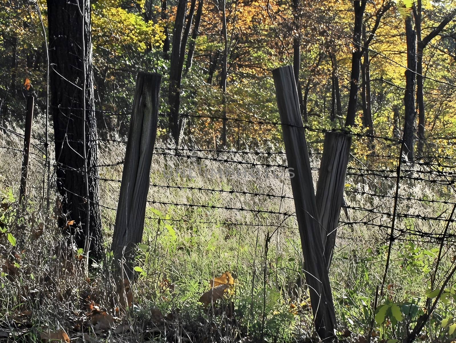 Barbed wire fence for security and protection boundary