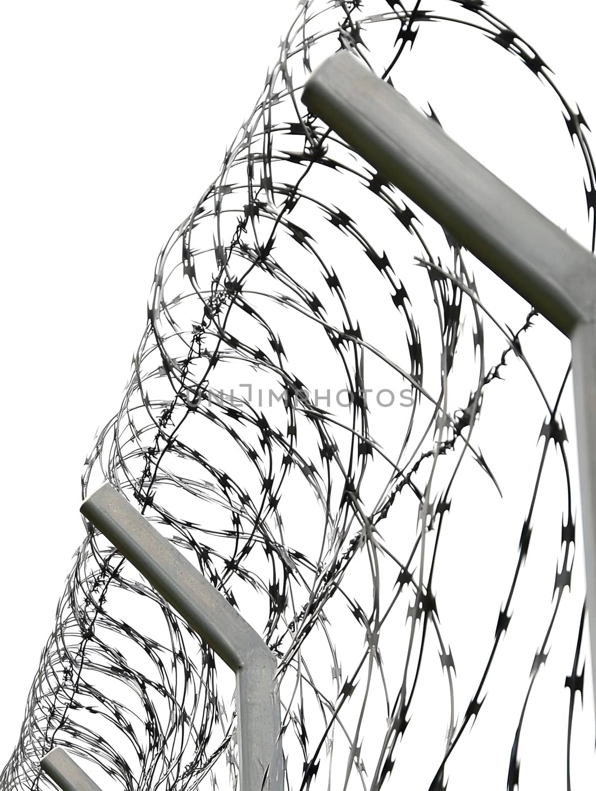 Barbed wire fence for security and protection boundary