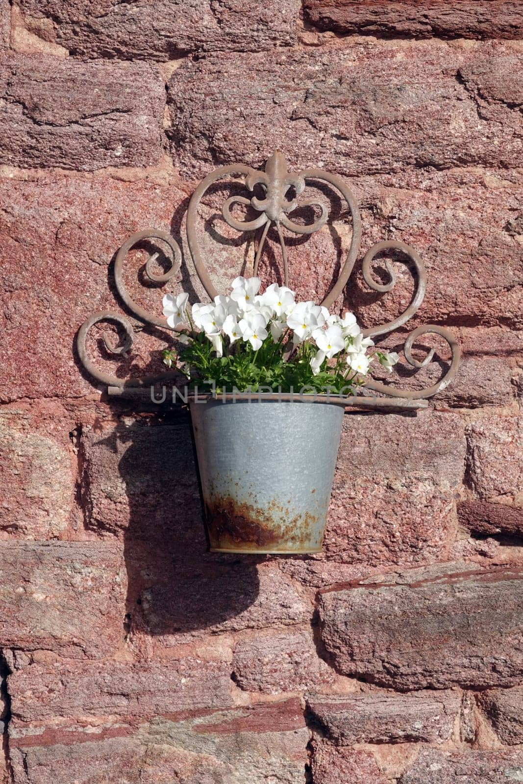 Blumentoepfe an einer Mauer