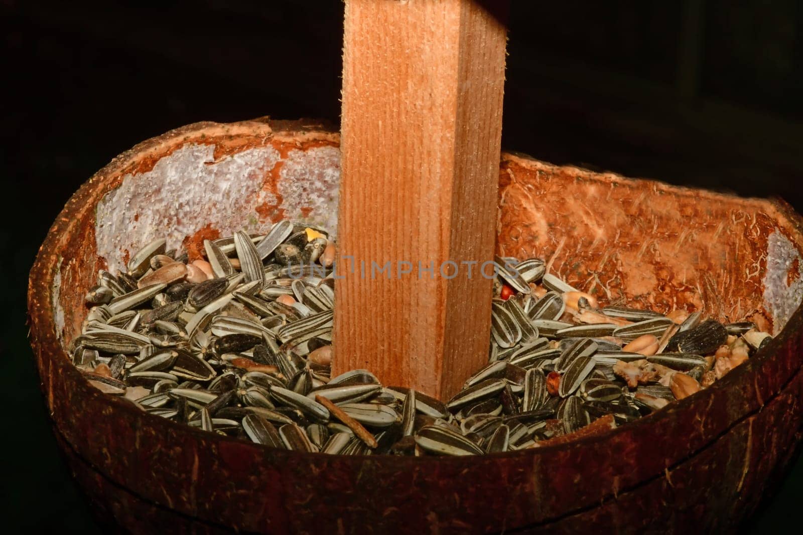 half coconut shell, bird feeder with sunflower seeds
