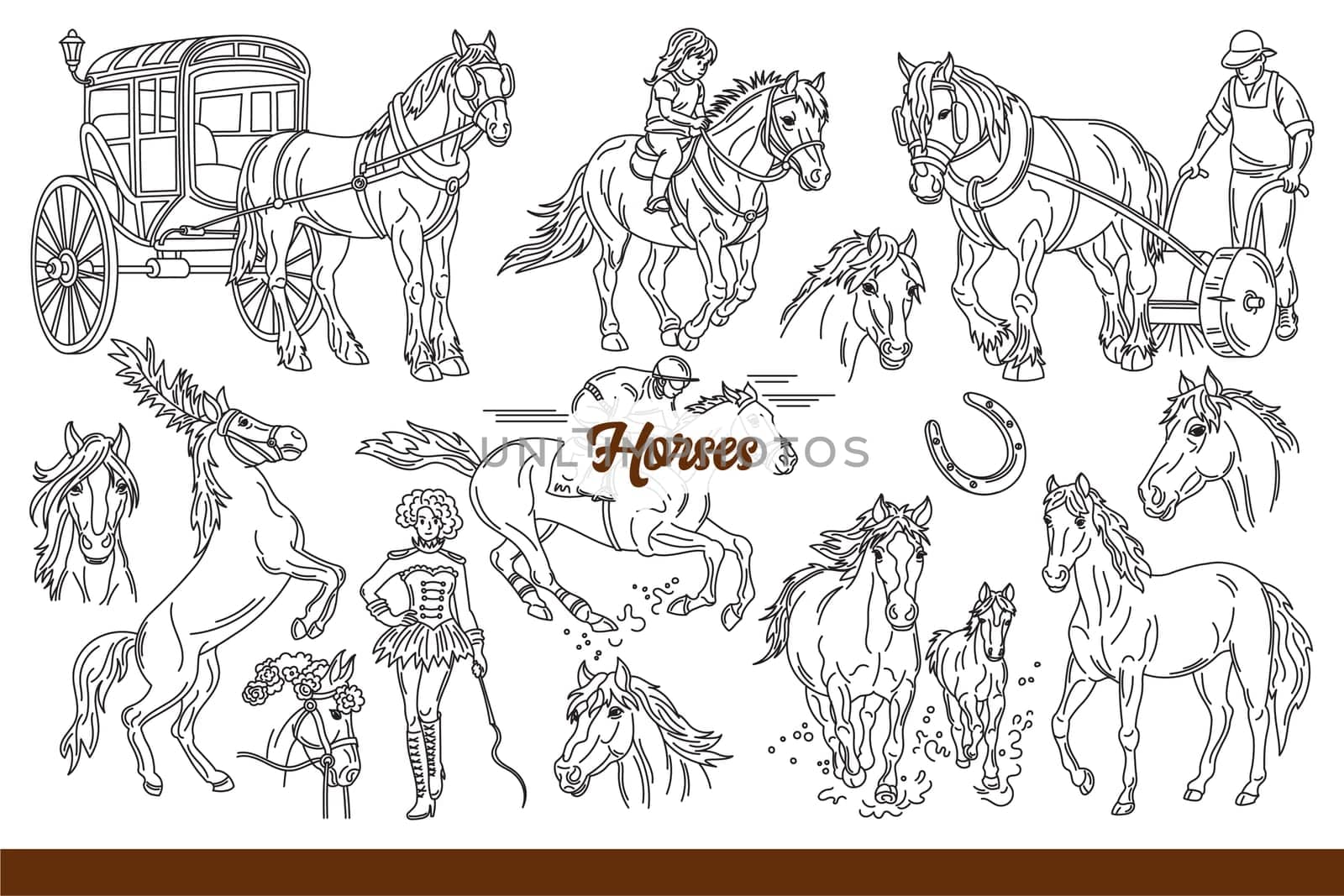 Horses performing in circus or working on plantation and riding children around park with people who love animals. Domesticated horses and wild stallions with long manes or horseshoes. Hand drawn.