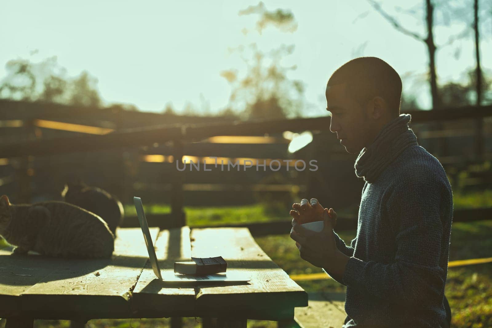 Young adult man working or studying remotely with his laptop on a wooden table outdoors in the countryside, holding a cup of coffee, with his cat sitting next to him in the sunset light