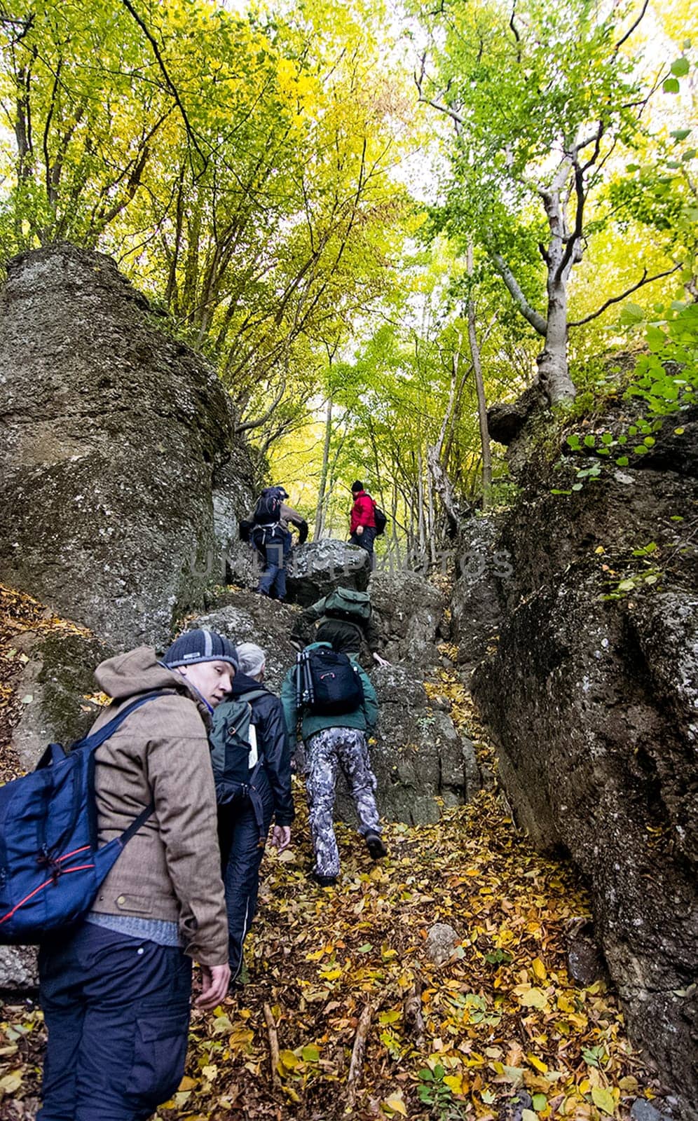 Rocks in Crimea. The rocks of the rocks of Crimea. The output of limestone sediment