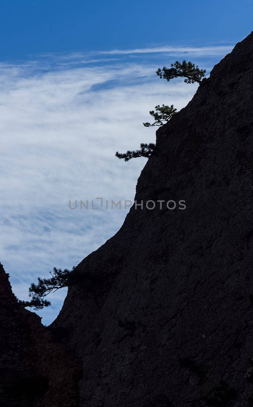 Mountains and forests of Crimea. coniferous and deciduous trees on the hills of the mountains and rocks