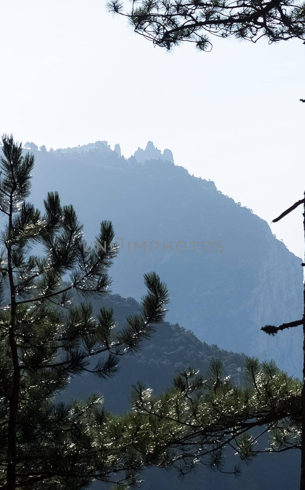 Mountains and forests of Crimea. coniferous and deciduous trees on the hills of the mountains and rocks