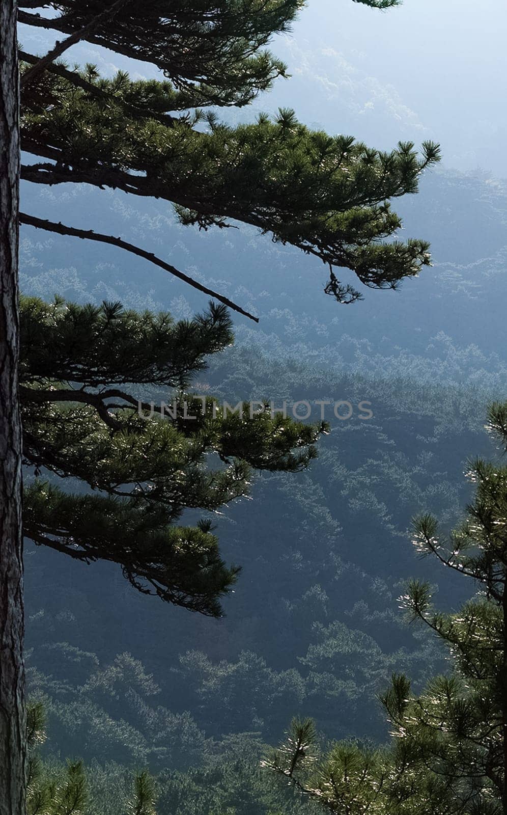 Mountains and forests of Crimea. coniferous and deciduous trees on the hills of the mountains and rocks
