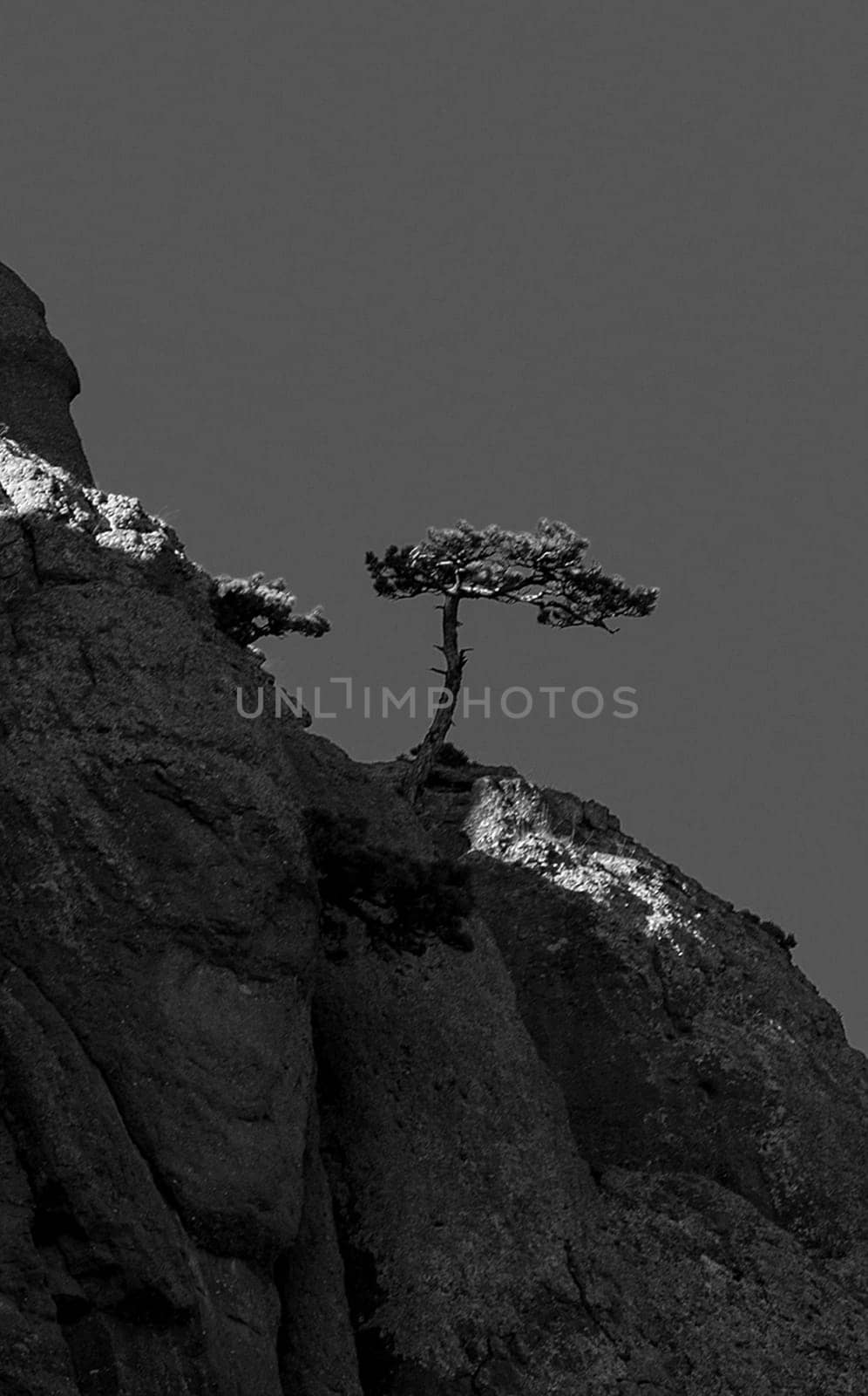 Mountains and forests of Crimea. coniferous and deciduous trees on the hills of the mountains and rocks