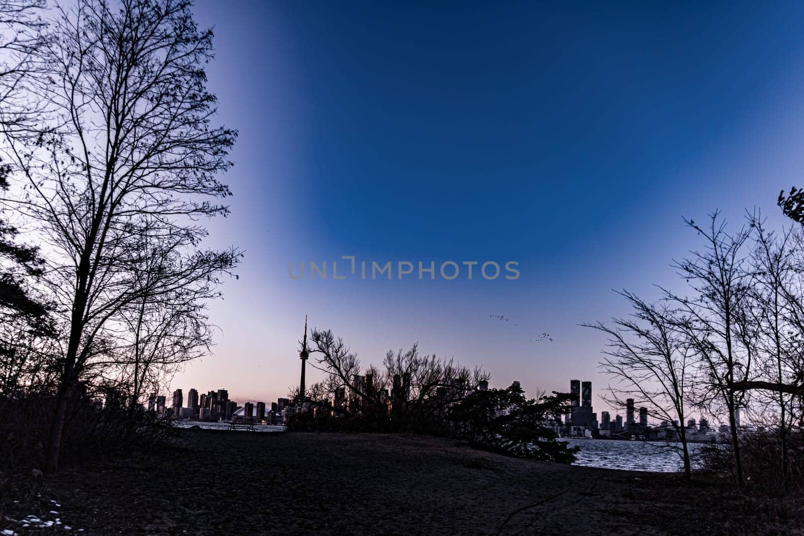 city ​​silhouette at dawn. Shooting Location: Toronto