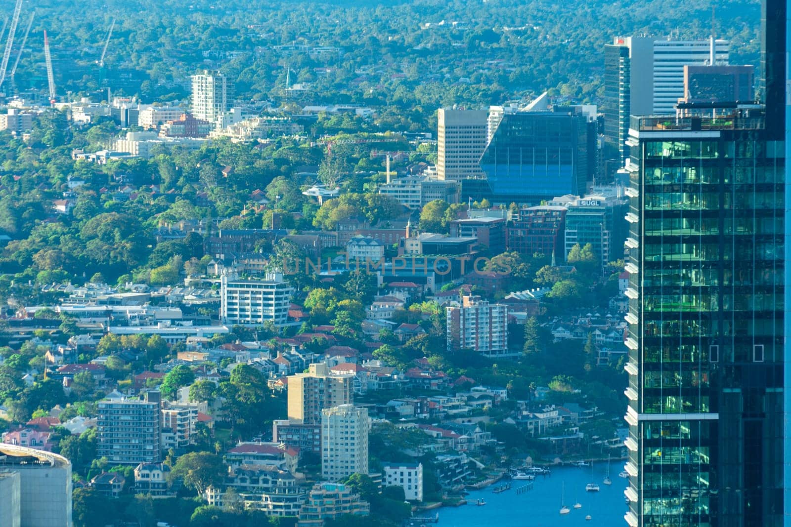 City greenery and sea views. Shooting Location: sydney, australia
