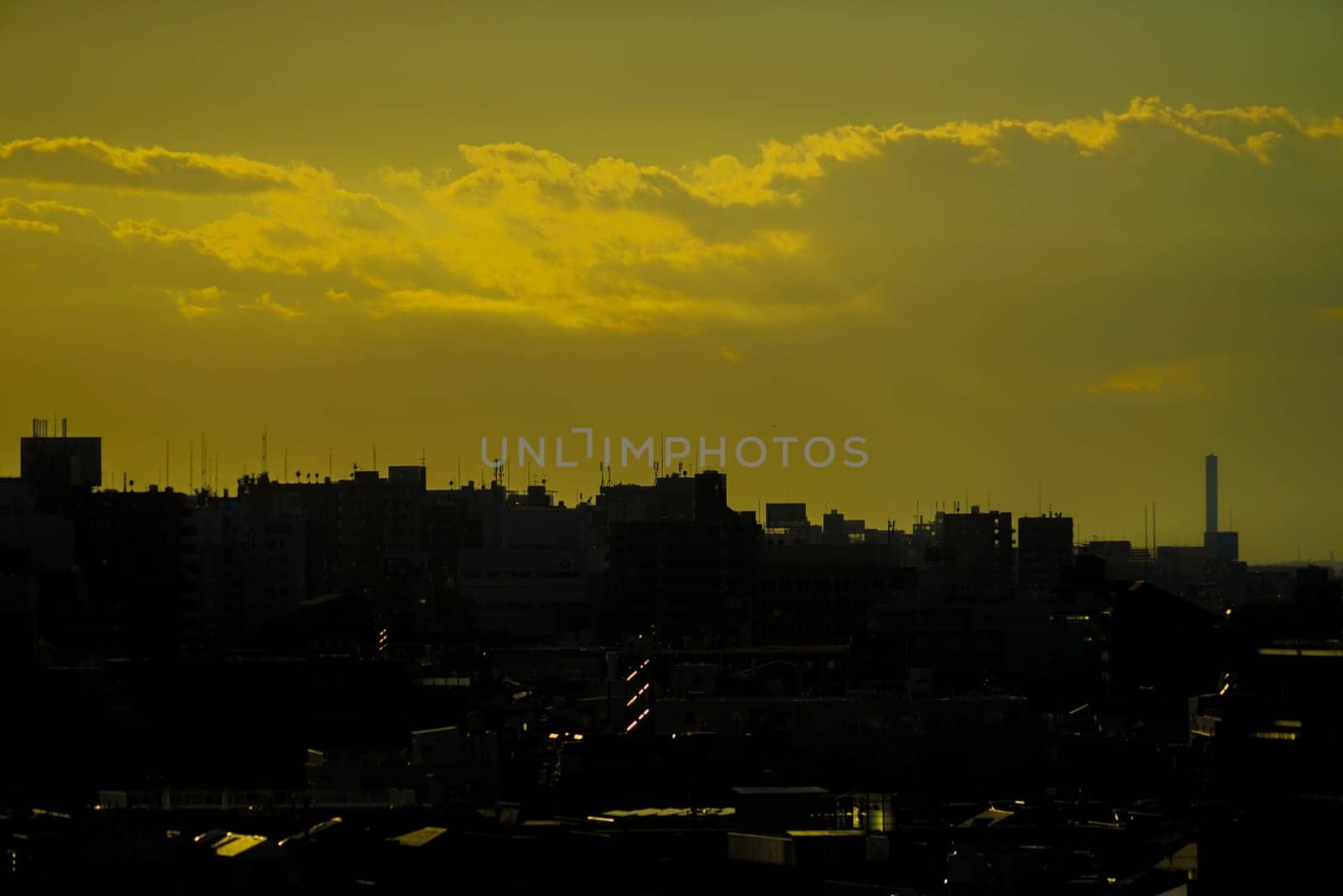 City silhouette illuminated by the setting sun. Shooting Location: Shinjuku Ward, Tokyo