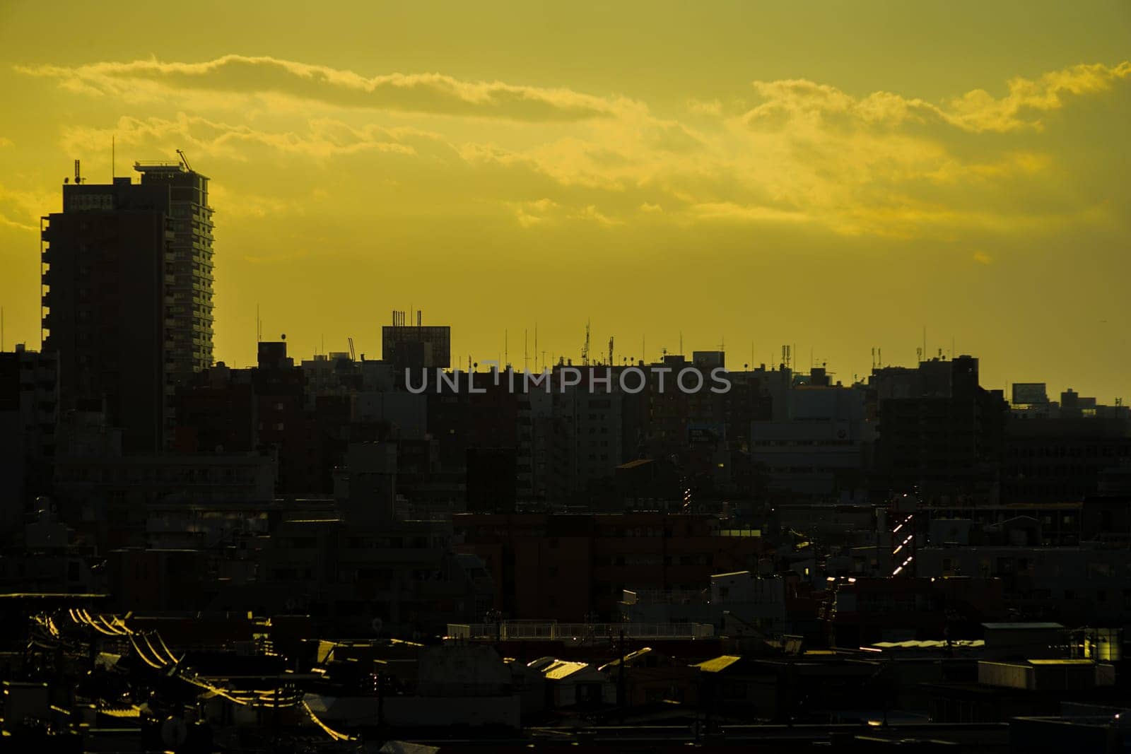 city ​​sunset silhouette. Shooting Location: Shinjuku Ward, Tokyo