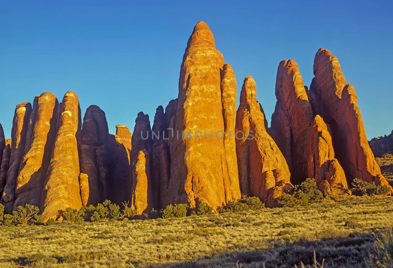 Arches  National park. Utah.