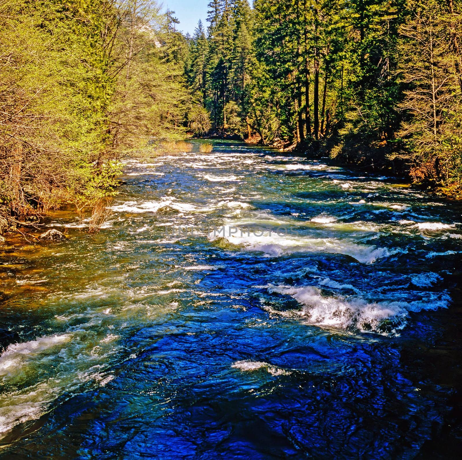 Mountain Creek, California