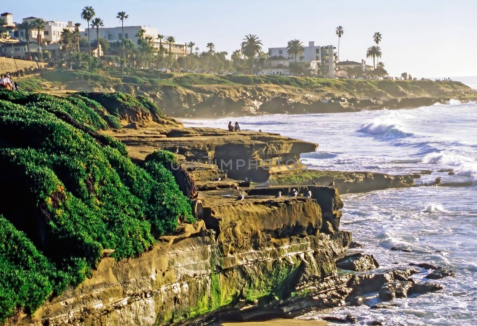 Pacific Coast in La Jolla, California