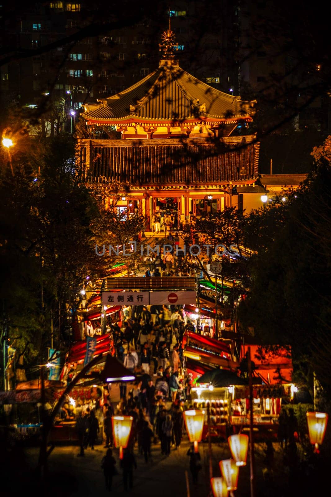 Temple and approach at night. Shooting Location: Taito Ward, Tokyo