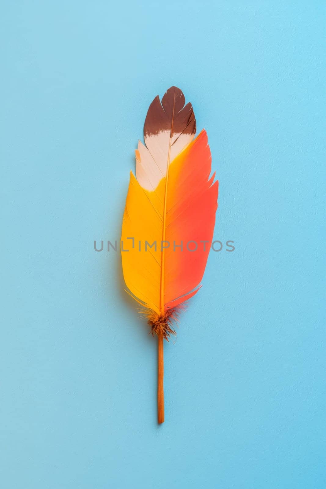 Nation indigenous peoples day concept, Colorful feather on minimslist color background, AI generated