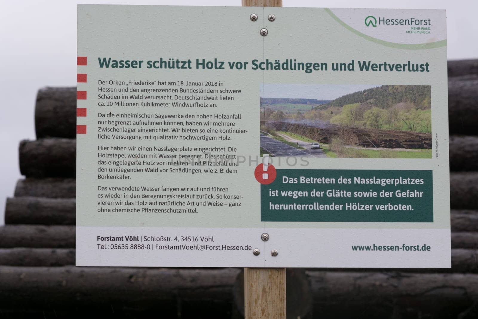 BAD WILDUNGEN, HESSEN, GERMANY - OKTOBER 30, 2018: Bad Wildungen, Hessen, Germany - Oktober 30, 2018: Wood yard business. Wood stacked outdoors. Concept forest industry environment. Felled tree trunks are sprayed with water to protect them against wood pests