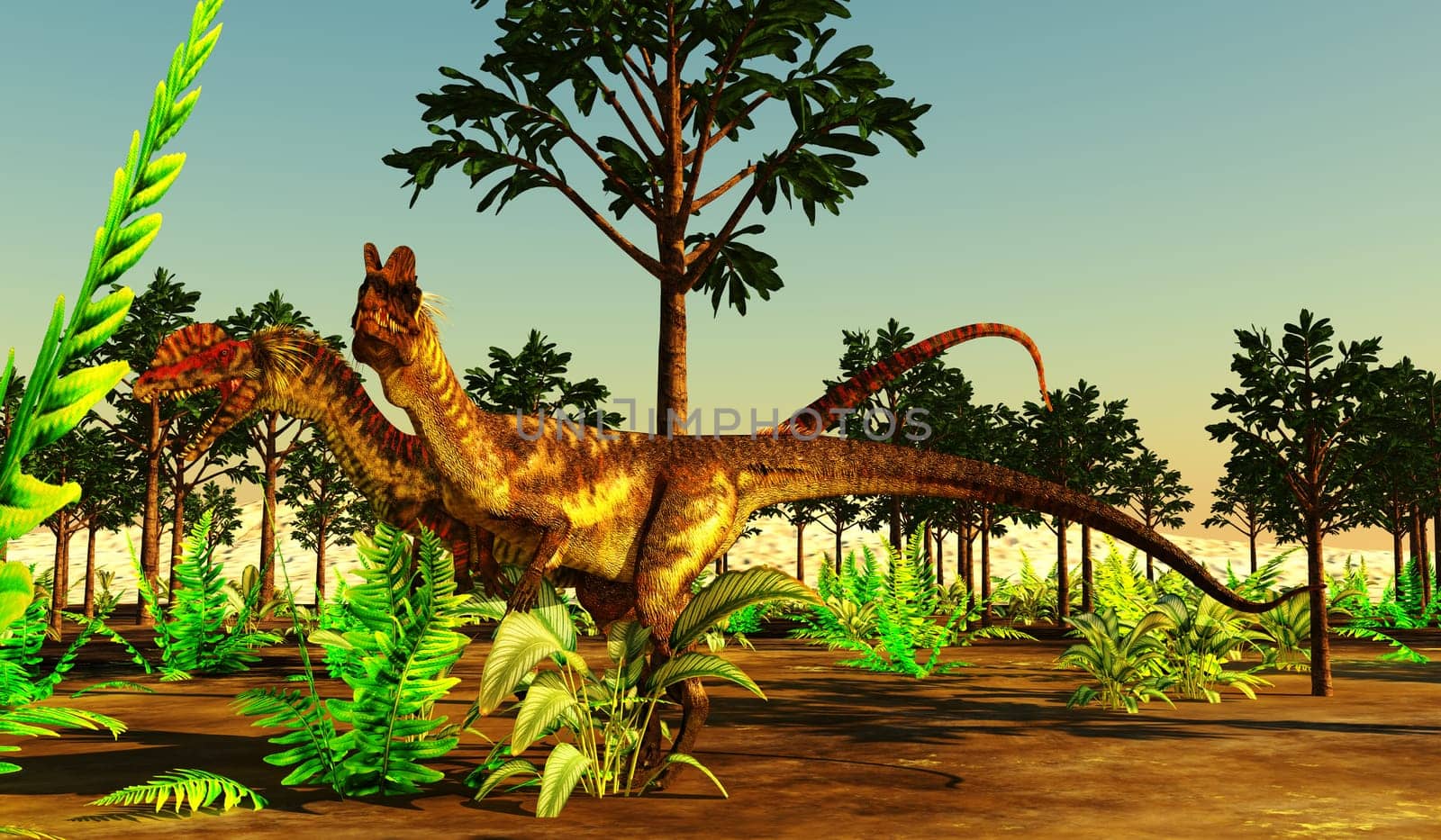 Dilophosaurus carnivorous dinosaurs search for prey among a forest of Cordaites angulostriatus trees.