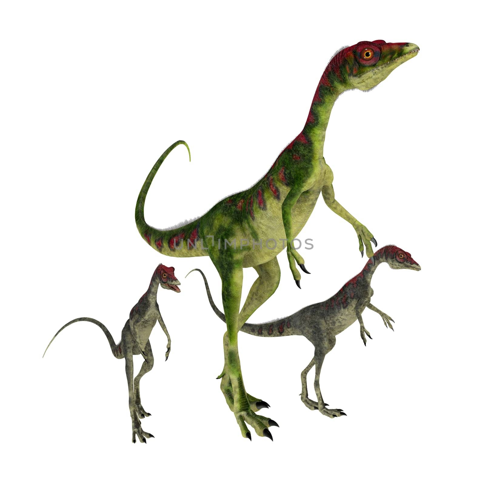 Compsognathus was a small carnivorous theropod dinosaur that lived during the Jurassic Period of Europe.