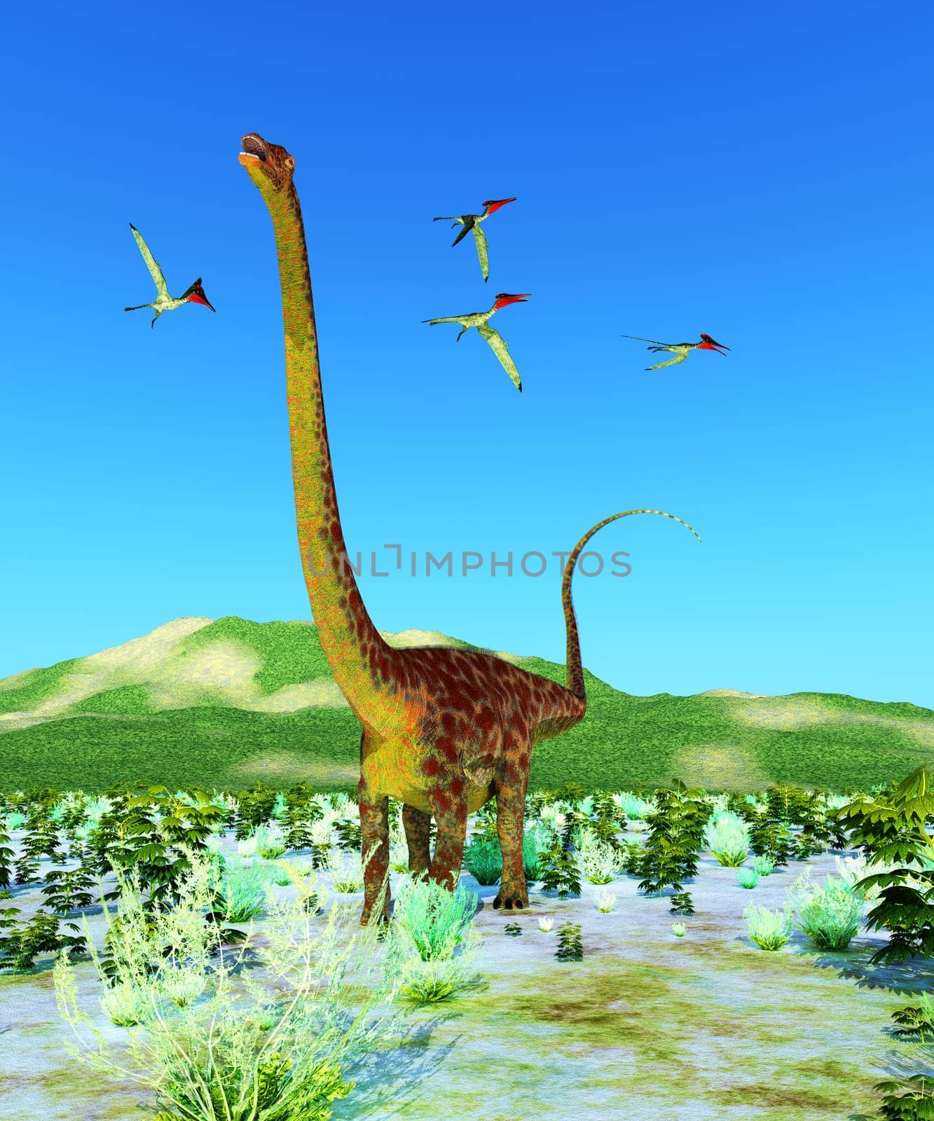 A flock of Pterodactylus Pterosaurs fly over a Diplodocus Titanosaur sauropod dinosaur during the Jurassic Period.