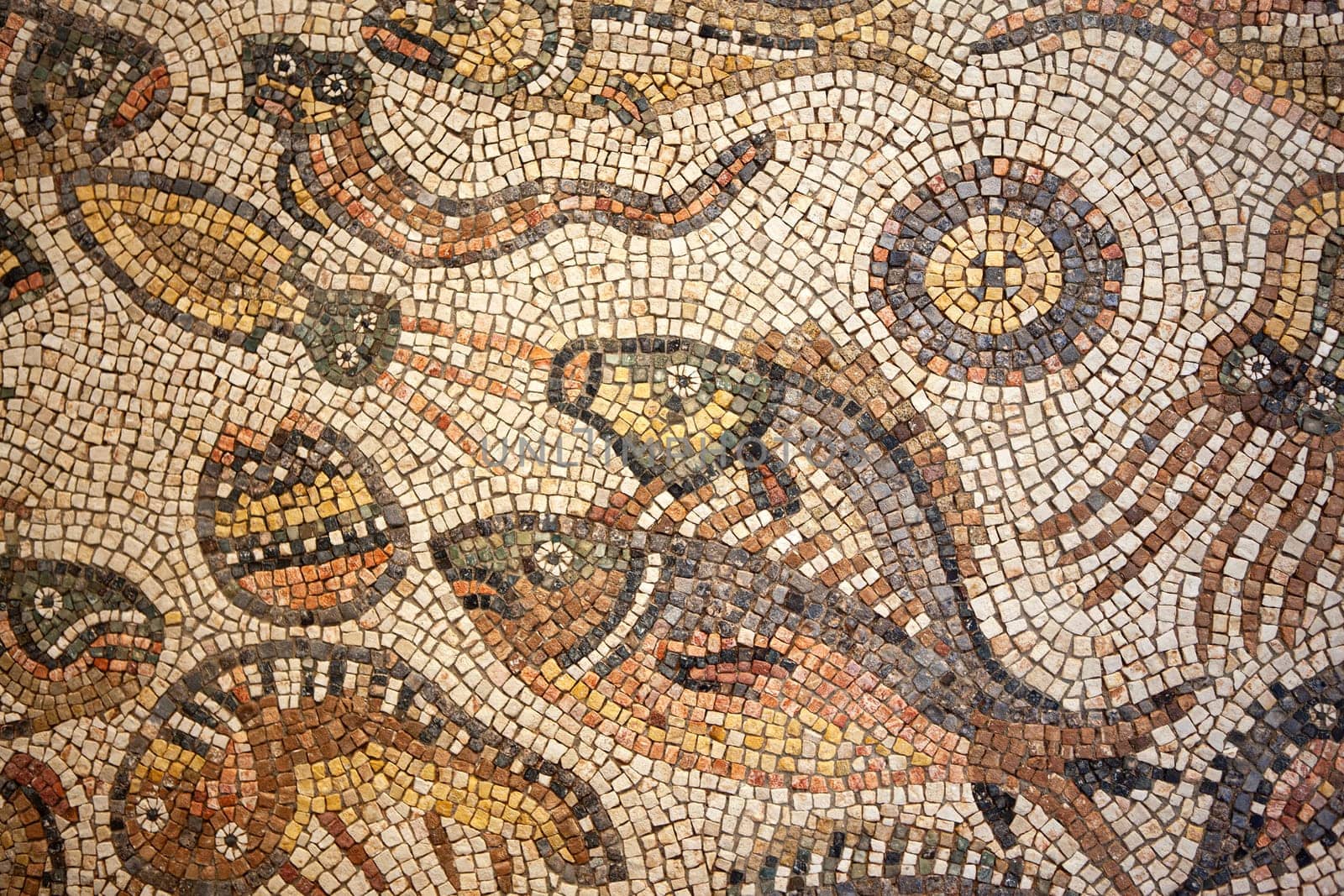Close up of a mosaic on the floor of an old Roman villa