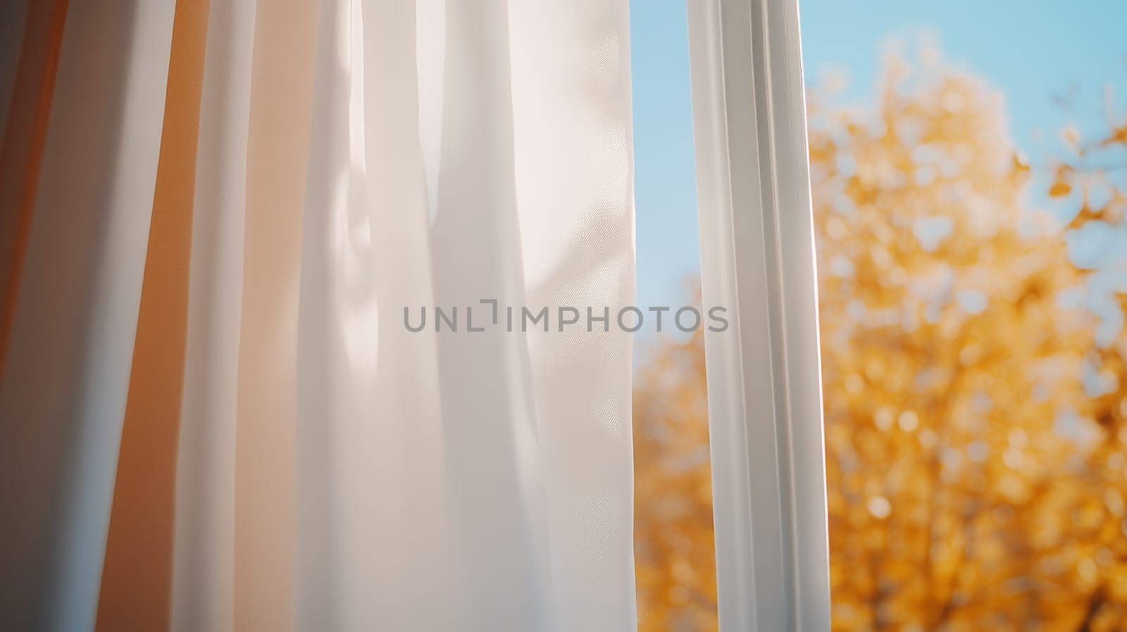 Sunlight filters through white curtains, revealing a vibrant autumn landscape with golden foliage.