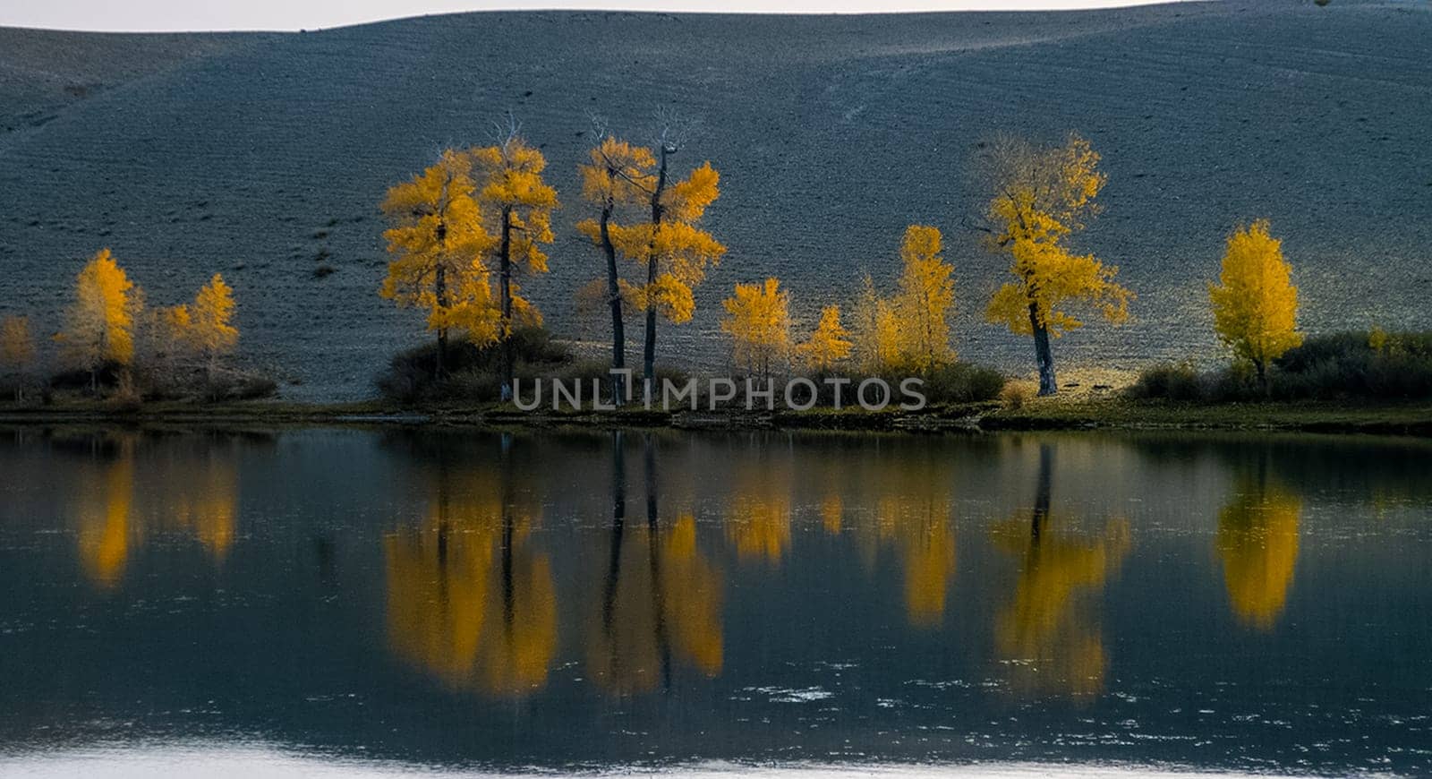 Lake in the Altai Mountains. Panorama of the Altai landscape in the mountains. The time of year is autumn.
