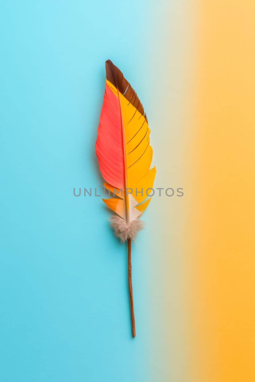 Nation indigenous peoples day concept, Colorful feather on minimslist color background, AI generated