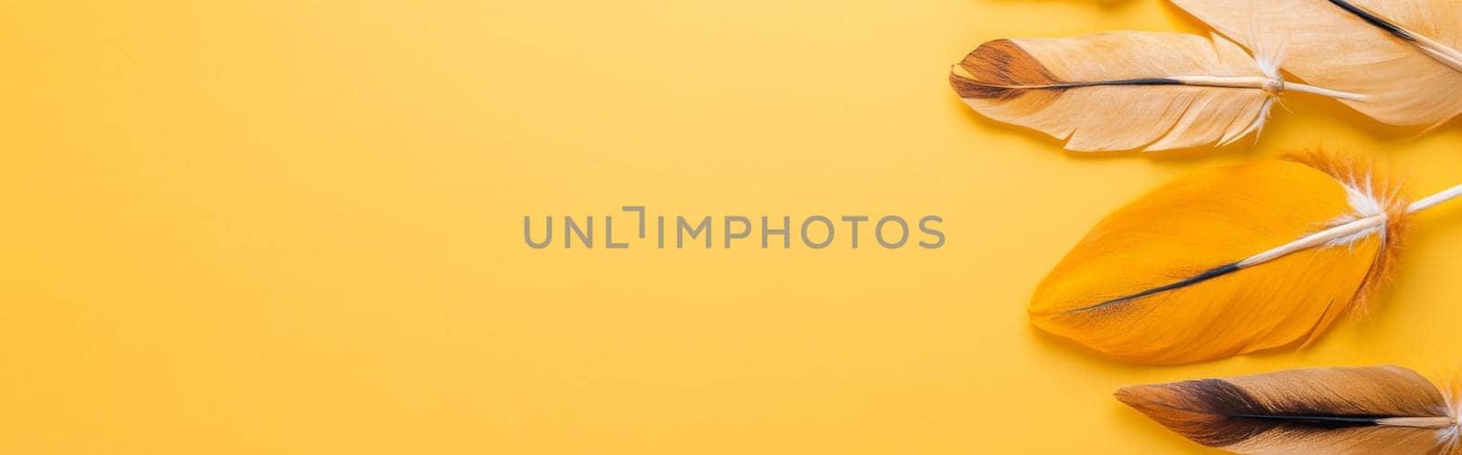 Nation indigenous peoples day concept, Colorful feather on minimslist color background, AI generated