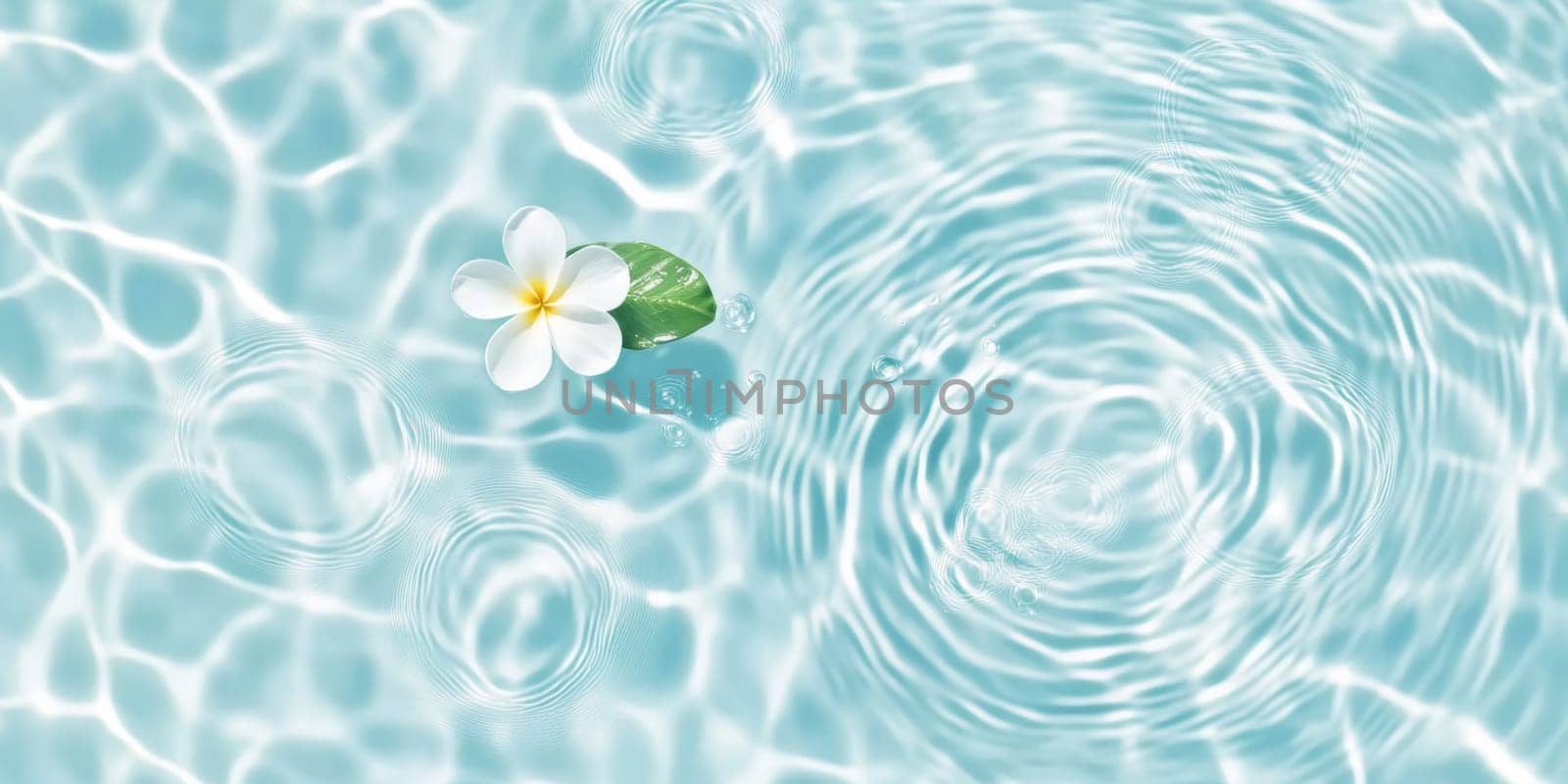 Pink flowers floating on water surface with ripples, perfect for SPA background, AI generated