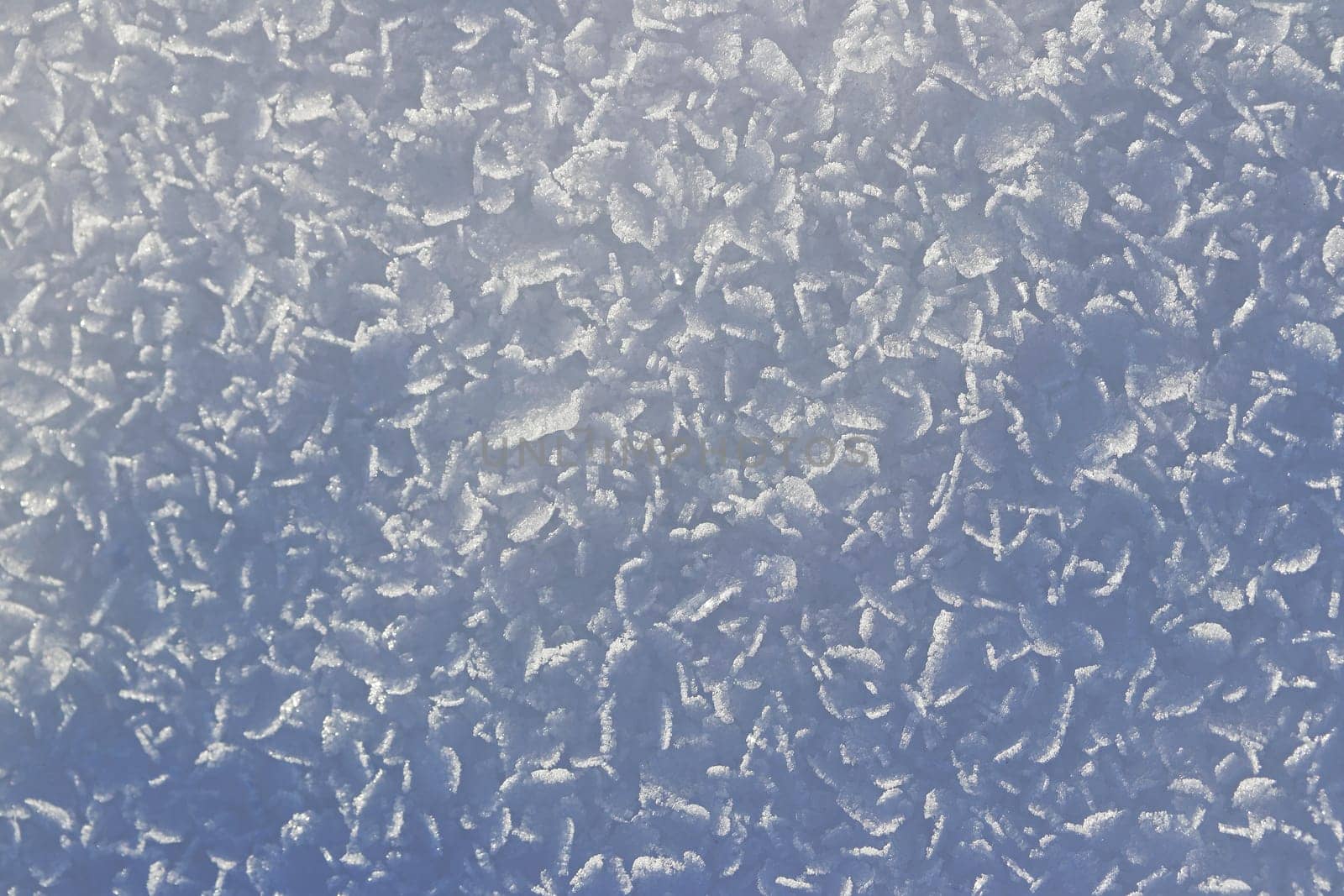 Close-up of snowflakes and ice crystals on the ground